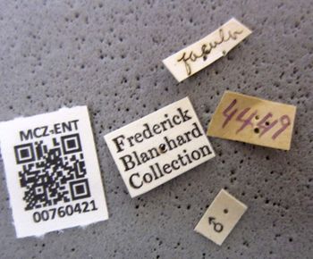 Media type: image;   Entomology 760421 Aspect: labels